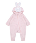 Rabbit all-in-one 