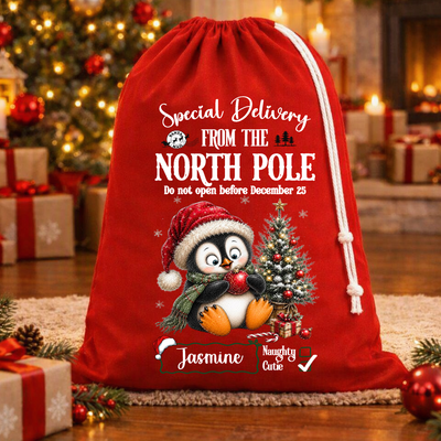 Special Delivery Penguin Christmas Bag – Rope Drawstring
