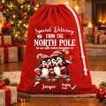 Special Delivery 2 Penguin Christmas Bag – Rope Drawstring