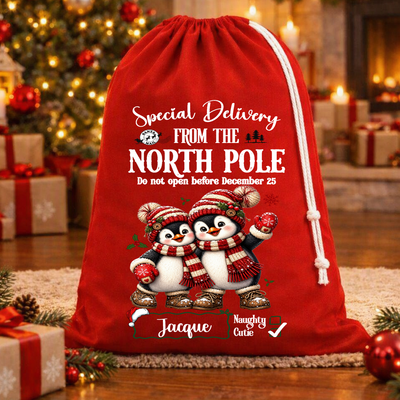 Special Delivery 2 Penguin Christmas Bag – Rope Drawstring